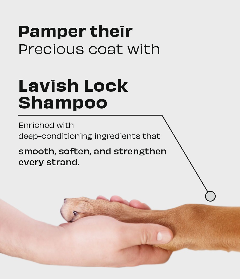 Lavish Locks Luxury Shampoo for Dogs & Cats - Image 5