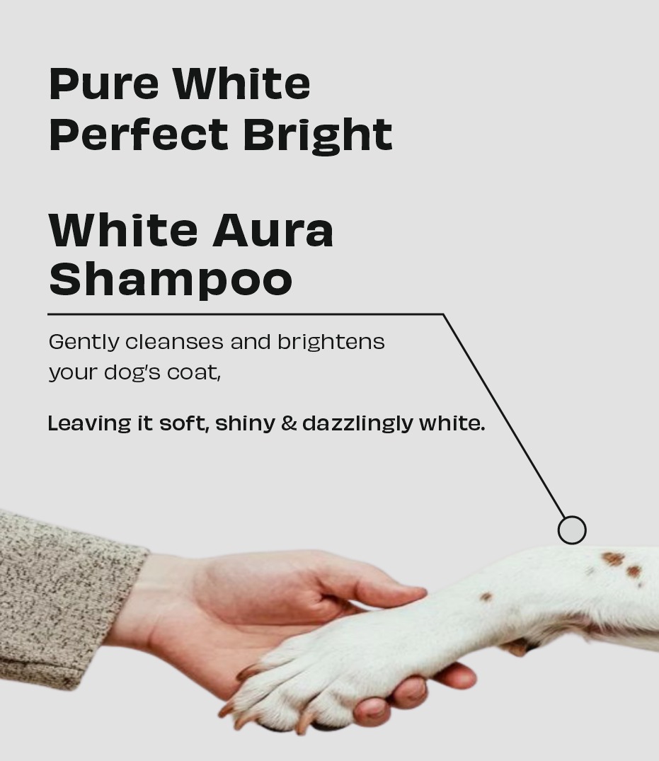 White Aura Whitening & Brightening Shampoo for Dogs & Cats - Image 5