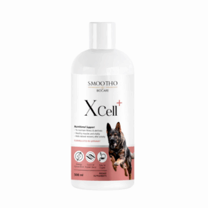 Xcell+ - Protein, Energy & Recovery Formula (500 ml)