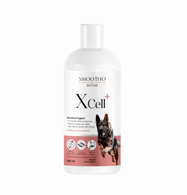 Xcell+ - Protein, Energy & Recovery Formula (500 ml)