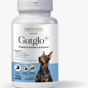 GutGlow+ - Probiotics, Prebiotics & Enzymes (100 gram Powder)