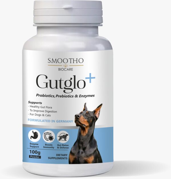 GutGlow+ - Probiotics, Prebiotics & Enzymes (100 gram Powder)